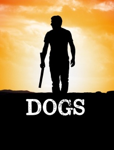 Dogs