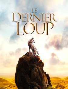 Le Dernier Loup