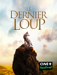 CINE+ Festival - Le dernier loup