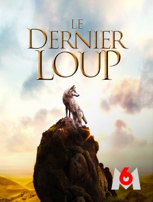 M6 - Le dernier loup