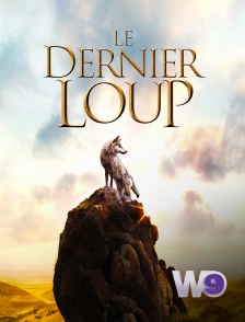 W9 - Le dernier loup