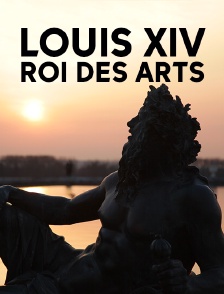 Louis XIV, roi des arts