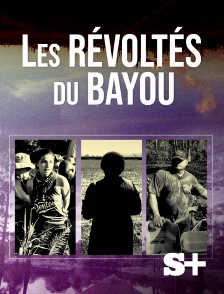 Society+ - Les Révoltés du Bayou