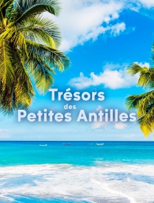 Trésors des Petites Antilles