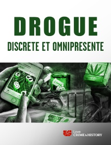 Love Crime & History - Drogue : discrète et omniprésente