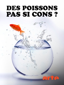 Arte - Des poissons pas si cons ?