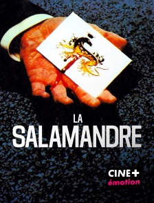 La salamandre