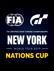 New York Nations Cup