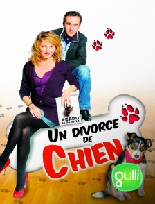 Gulli - Un divorce de chien