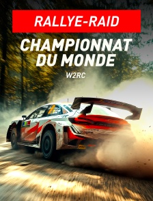 Rallye-raid - Championnat du monde W2RC