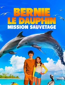 Bernie Le Dauphin : Mission Sauvetage
