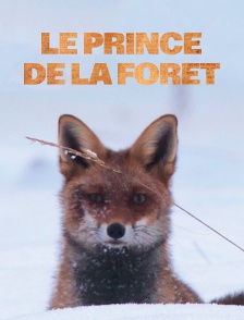 Le prince de la forêt