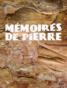 Mémoires de pierre