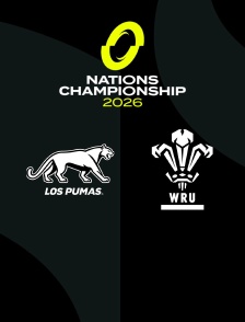 Argentine / Pays de Galles : Nations Championship - Rugby