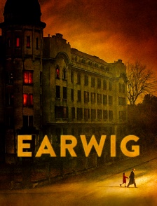 Earwig