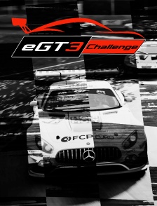 eGT3 Challenge