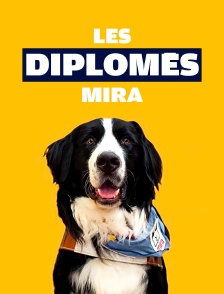 Les diplômés Mira