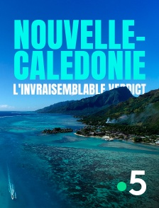 France 5 - Nouvelle-Calédonie : l'invraisemblable verdict