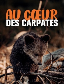 Au coeur des Carpates