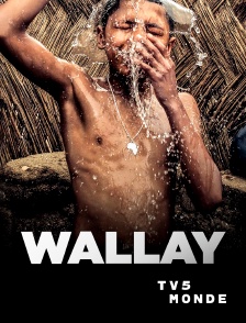 TV5MONDE - Wallay