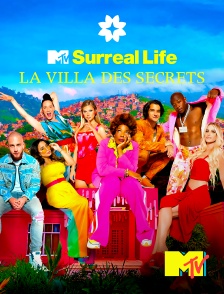 MTV - The Surreal Life : La villa des secrets