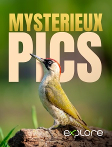 EXPLORE - Mystérieux pics