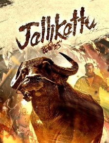 Jallikattu