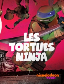 Nickelodeon Teen - Les Tortues Ninja