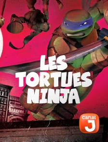 Canal J - Les Tortues Ninja en replay