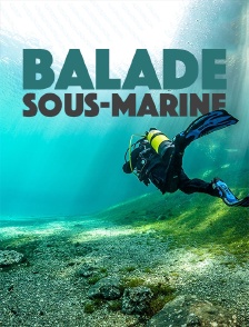 Balade sous-marine