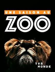 TV5MONDE - Une saison au zoo