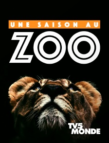 TV5MONDE - Une saison au zoo