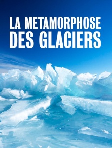La métamorphose des glaciers