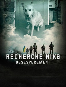 Recherche Nika désespérément