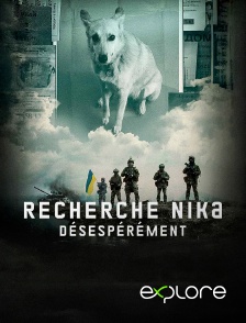 EXPLORE - Recherche Nika désespérément