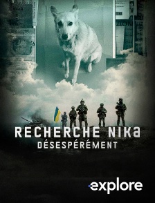EXPLORE - Recherche Nika désespérément