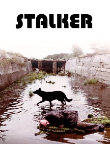 Stalker