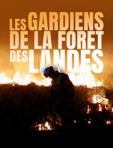 Les gardiens de la forêt des Landes