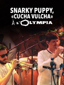 Snarky Puppy, «Cucha Vulcha» à l'Olympia