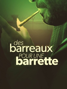 Des barreaux pour une barrette