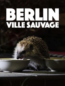Berlin, ville sauvage