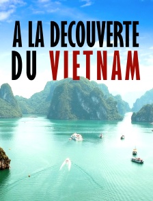 A la découverte du Viêtnam