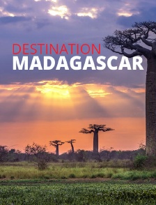 Destination Madagascar