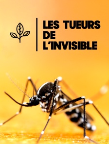 Les tueurs de l'invisible