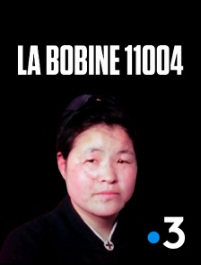 La bobine 11004