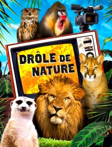 Drôle de nature