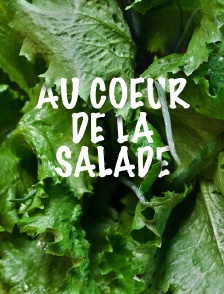 Au coeur de la salade