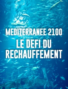 Méditerranée 2100 : le défi du réchauffement