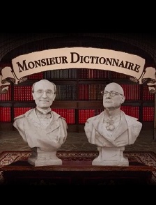 Monsieur dictionnaire