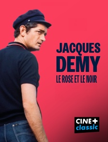 CINE+ Classic - Jacques Demy, le rose et le noir